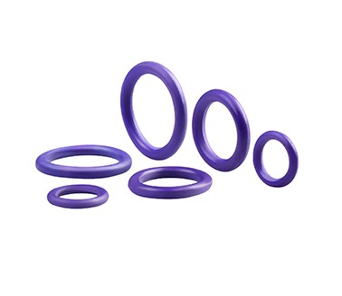 hydraulic coupler o ring